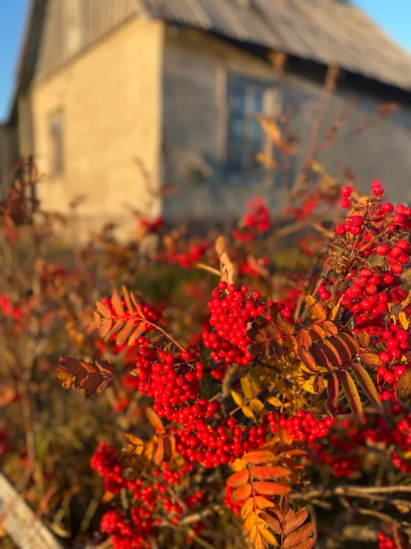 Мини дом для путешественников