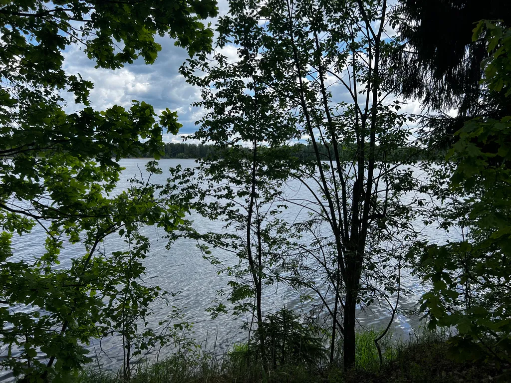 Дом Немо с уличной купелью  в лесу