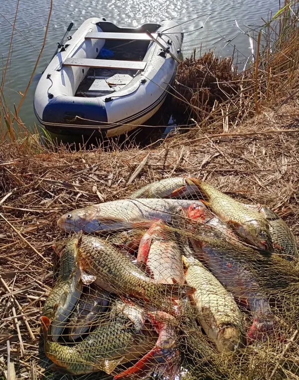 Коттедж Коттедж Отдых на Азовском море — Прорвенский