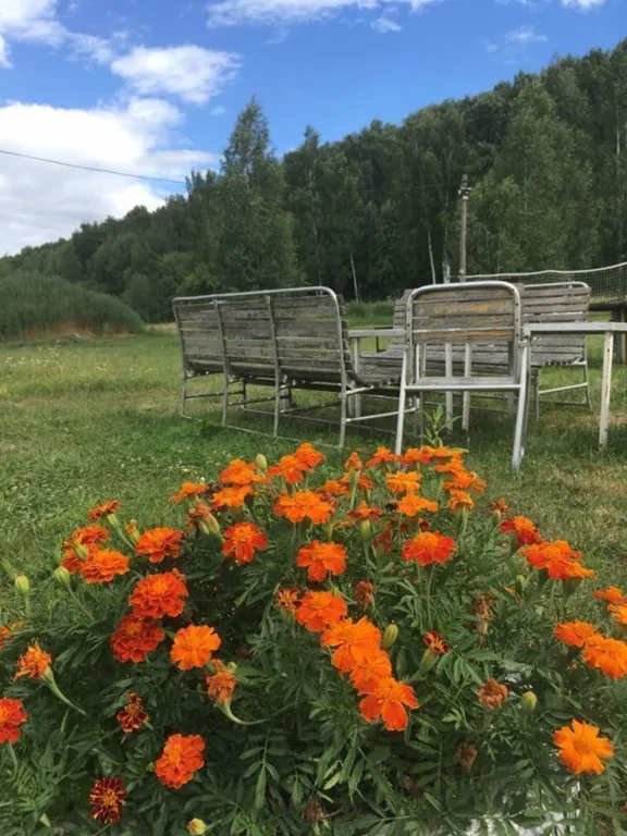 Домик на берегу Оки на территории сельской усадьбы Варежка