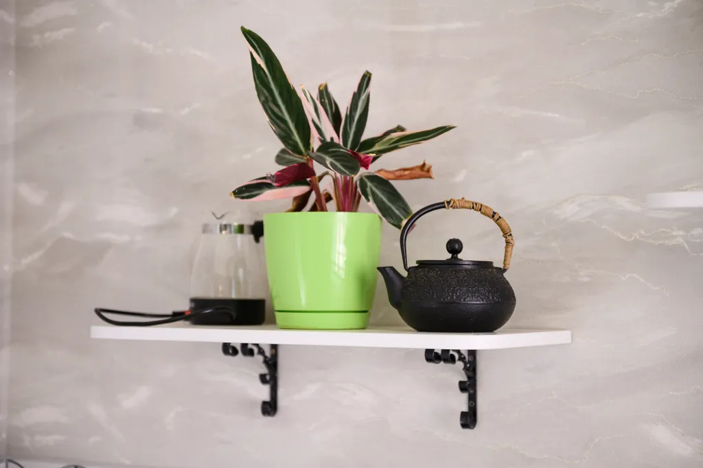 Костер и море - Тёплый дом в центре Йошкар-Олы