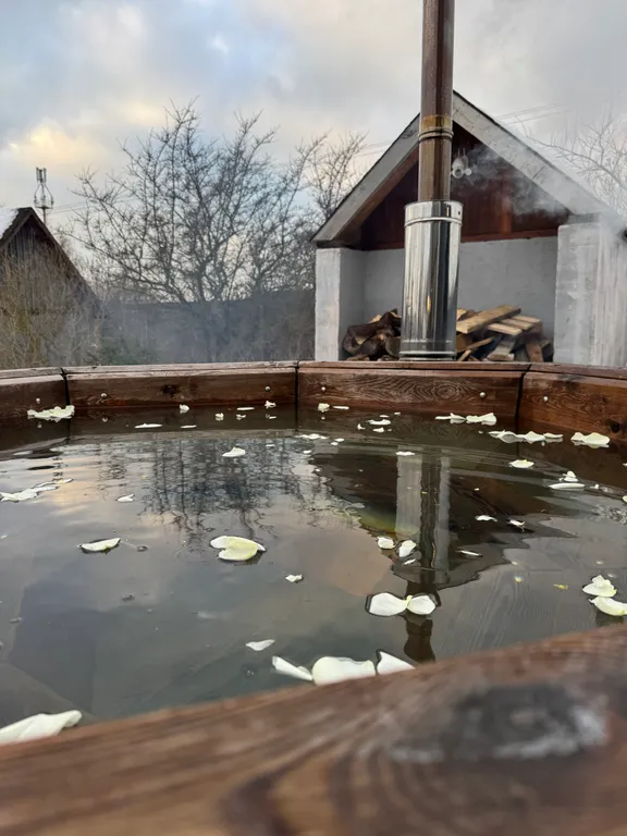 Дом отдыха возле Москвы