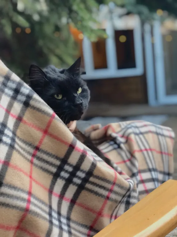 Дом Релакс'Ель с природным шармом рядом с Москвой и горячей джакузи