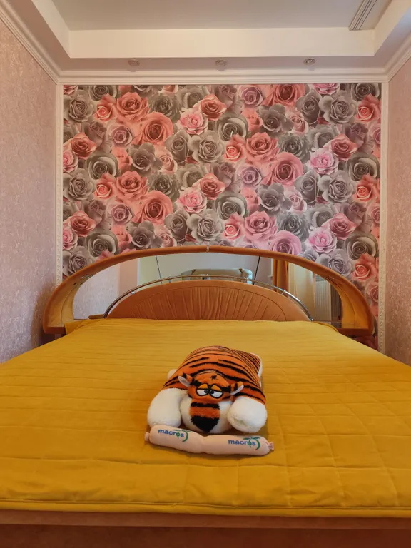 Квартира Квартира рядом с торговым центром и спортивный комплекс Муссон — Севастополь