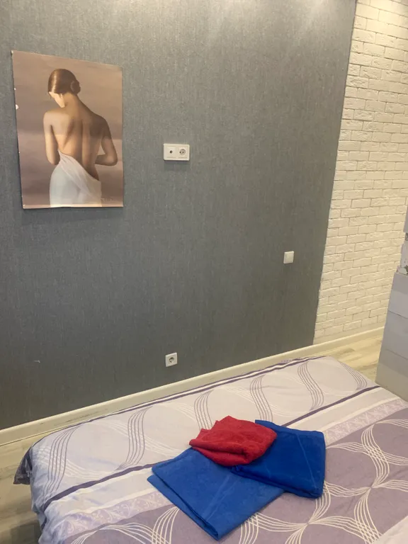 Уютные апартаменты рядом с Лухмановская