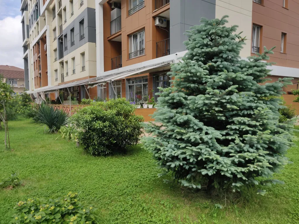 Ретро студия с панорамными окнами с видом на море, бассейн