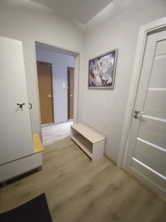 Квартира Уютная однокомнатная квартира в Катюшках, рядом с Шереметьево — Лобня