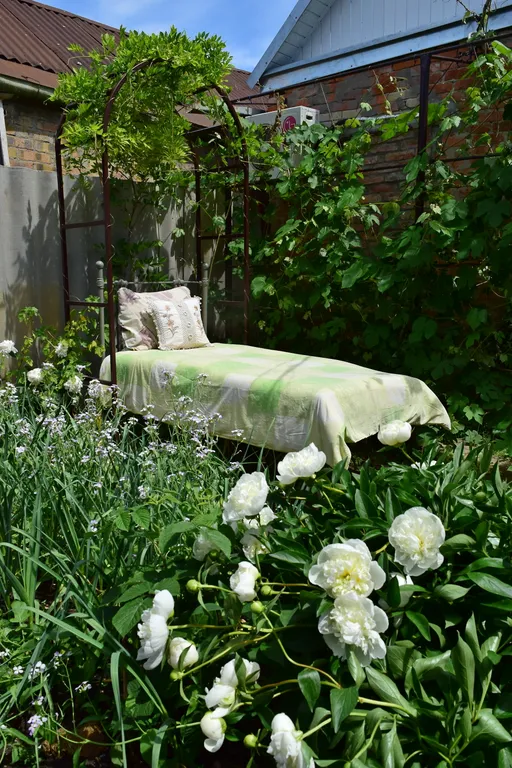 Дом-музей в деревенском стиле в районе Чеховской набережной