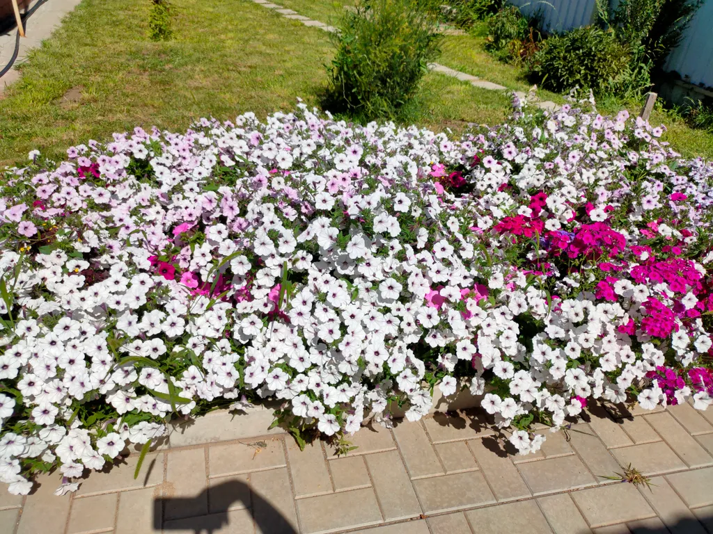 Гостевой номер в тихом районе