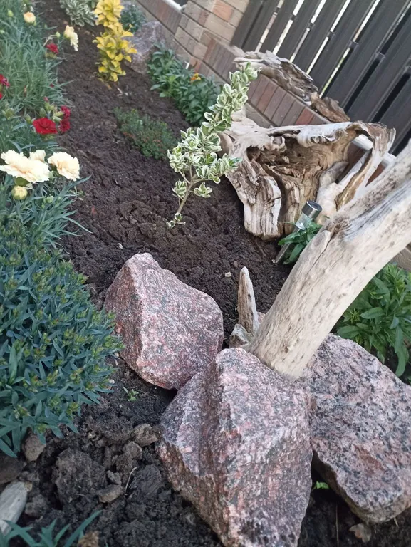 Просторный 5-местный уютный эконом