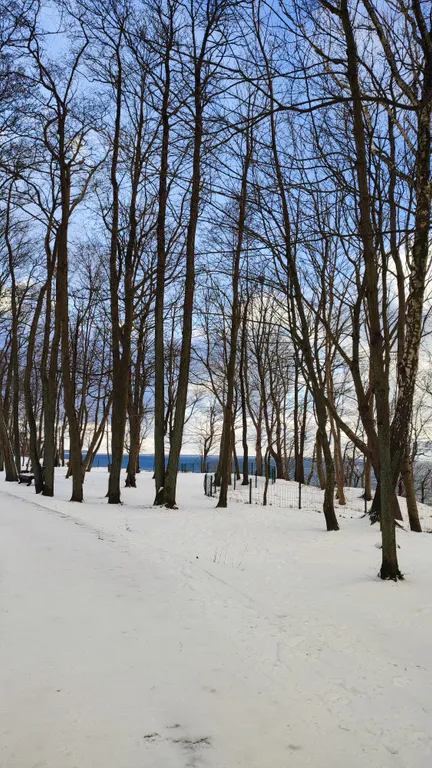 Студия на берегу Балтийского моря
