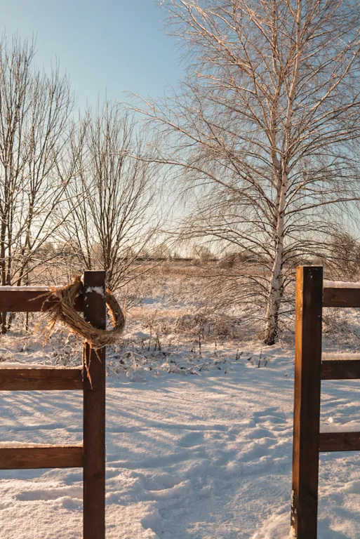 Эстетичный мини-домик с горячими ваннами и купелью