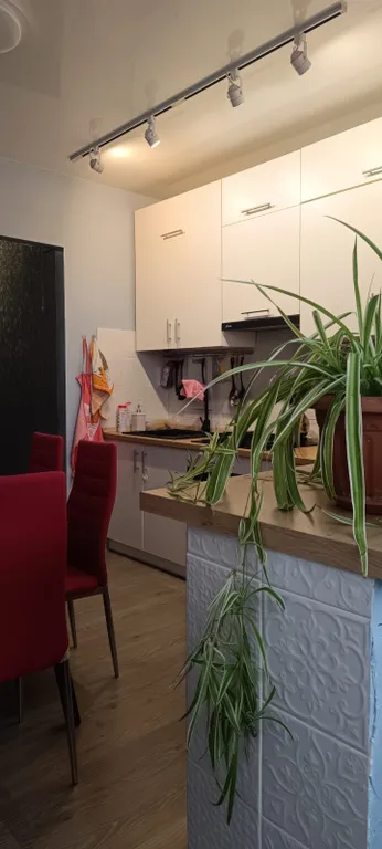 Уютная и теплая квартира в десяти минутах от моря