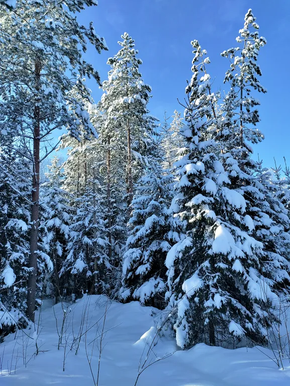 Дача Ласточка новый дом для вашего отдыха
