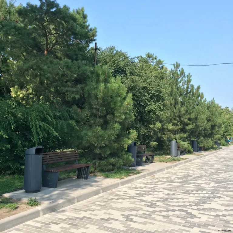 Студия у моря в Приморском парке