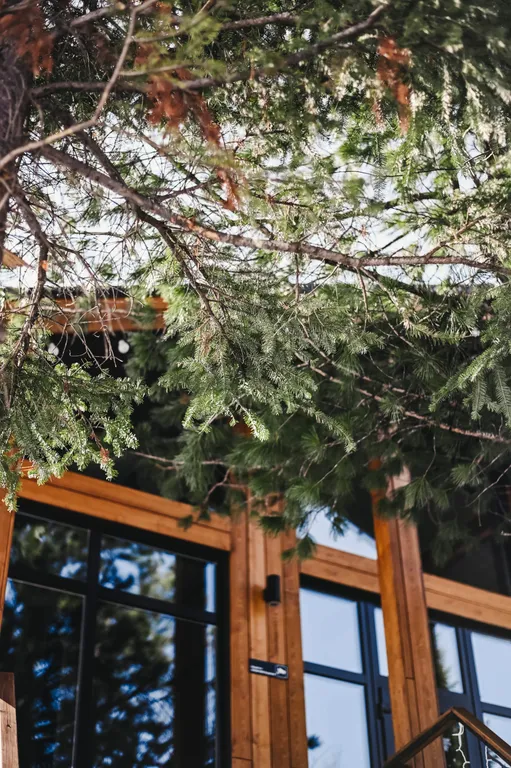 Барнхаус Chamonix c панорамными окнами