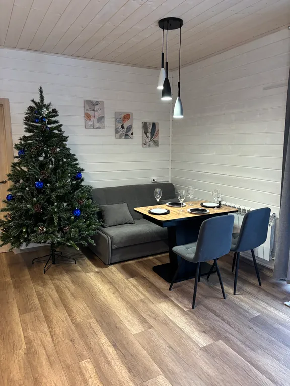 Дом в Каменке, горнолыжные курорты