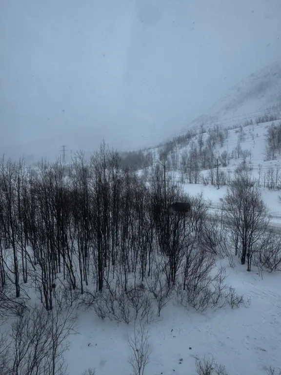 Уютная квартира рядом со склоном