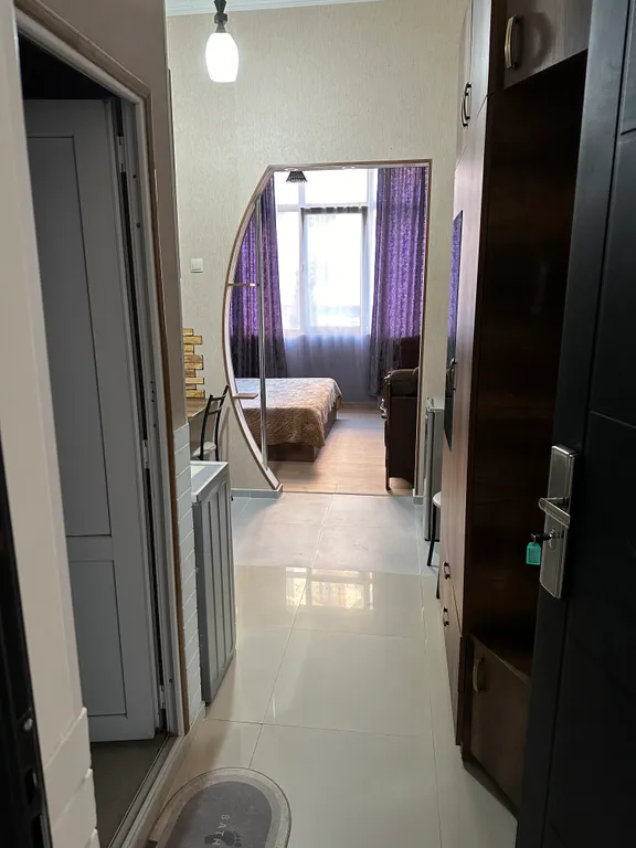 Уютная однокомнатная квартира со всеми удобствами