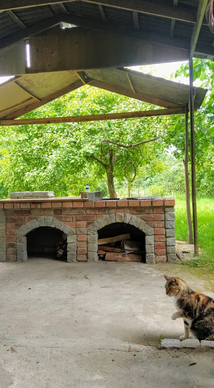 Коттедж Домик в яблоневом саду — Светлогорск