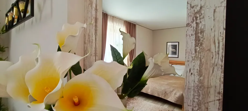 Тихая, просторная комната на Рыбной деревне