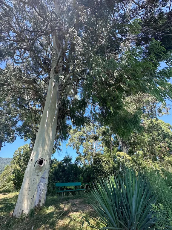 Двухэтажный дом под ключ у моря в Новом Афоне