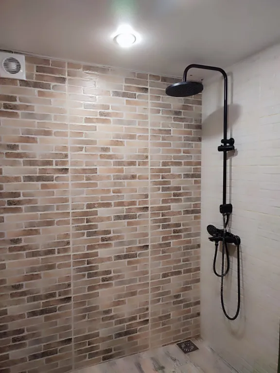 Уютный дом Шарика