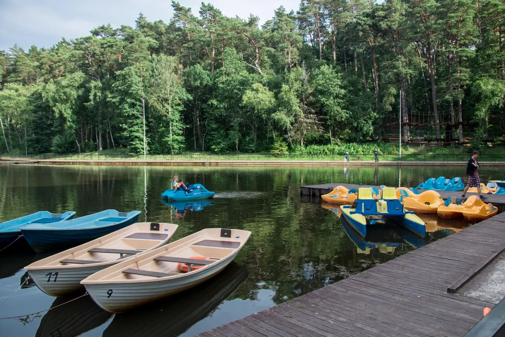 Квартира Квартира Cozy apartment — Светлогорск
