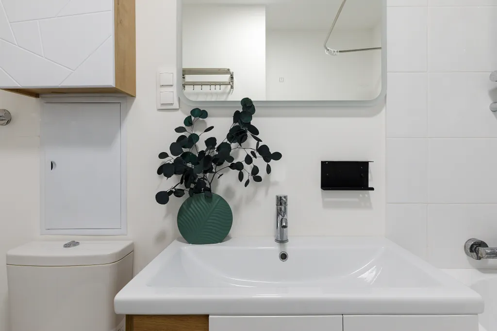 Апартаменты однокомнатный делюкс