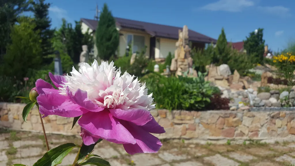 Коттедж 3-комнатный Дом — аренда посуточно в Чечулино