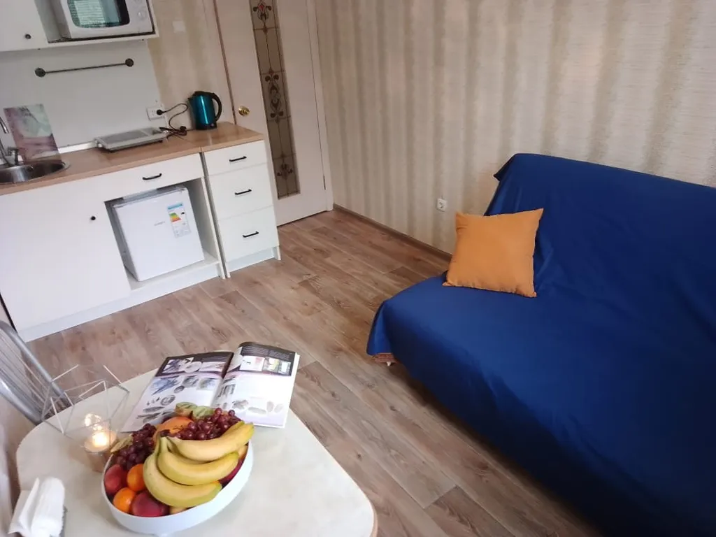 Уютная однокомнатная квартира