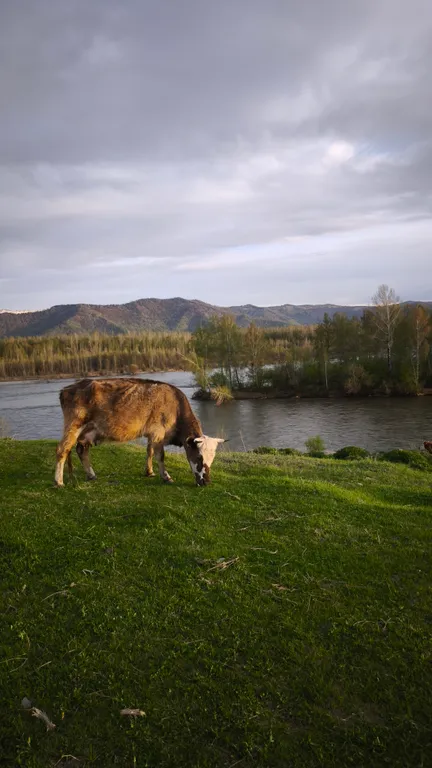 Современный 2-комнатный дом на слиянии рек Тихий берег