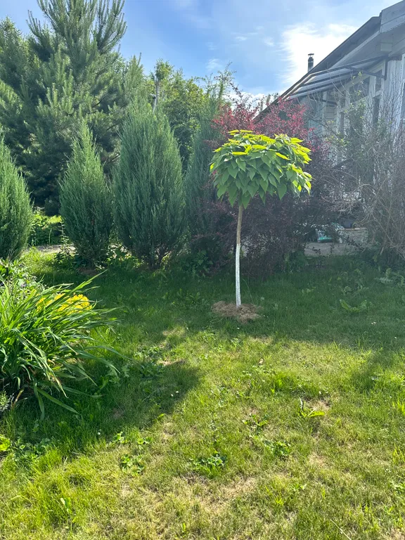 Гостевой дом в заповедной зоне Поленово