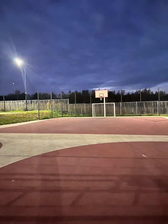 Уютная однокомнатная квартира