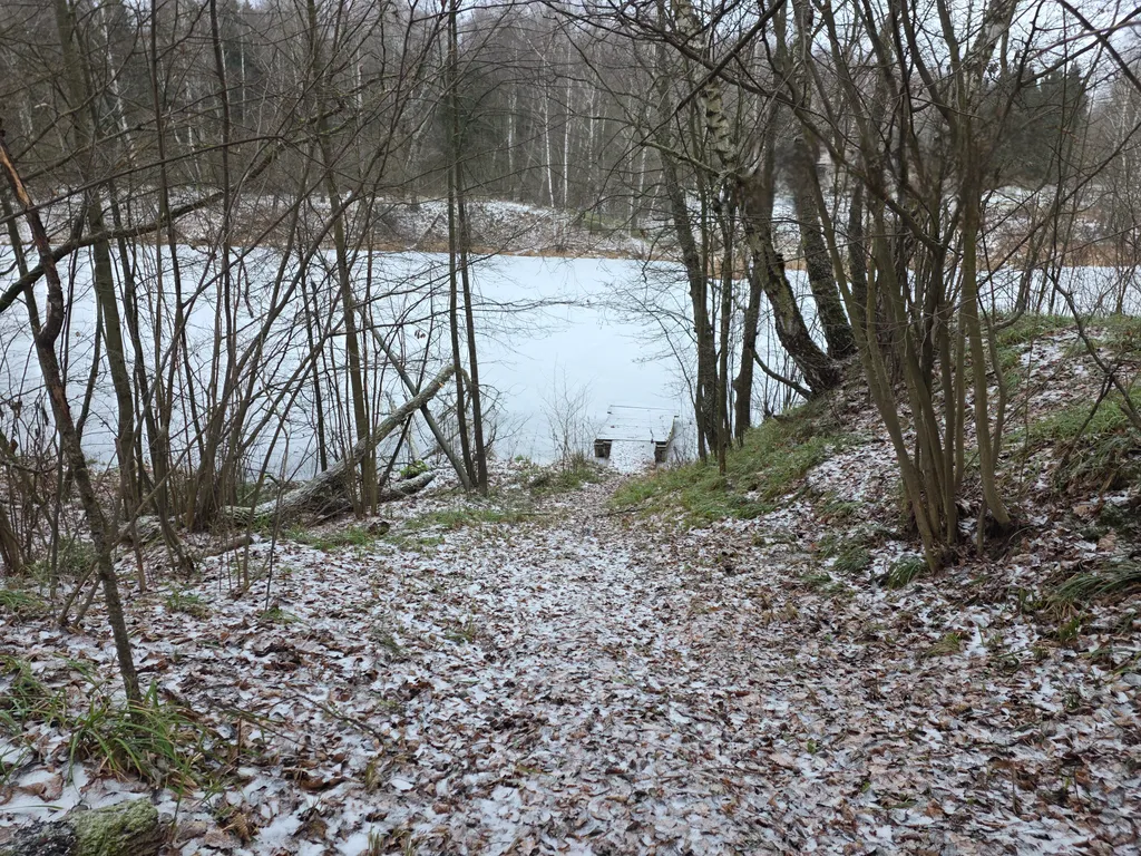 Новая сфера для глэмпинга Бёрд&Self vibe с дизайнерским интерьером