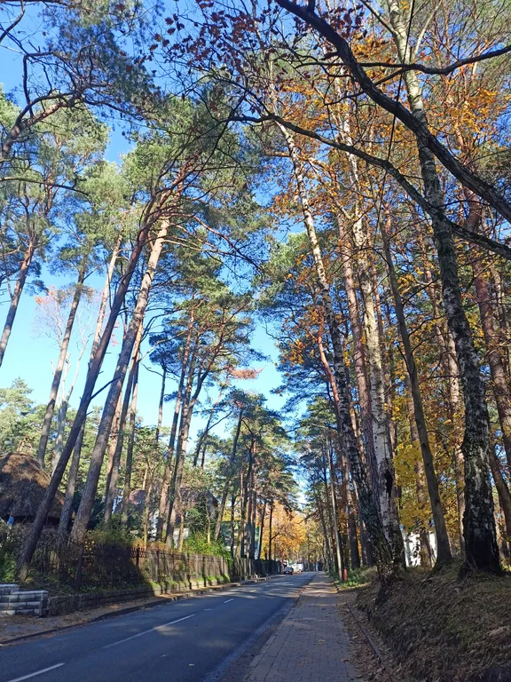 Квартирка в сосновом бору в центре