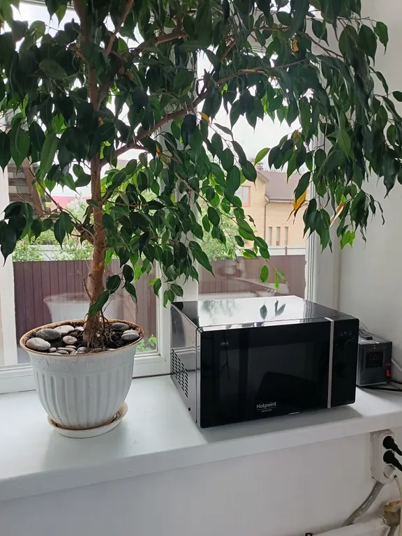 Часть жилого дома с отдельным собственным двориком