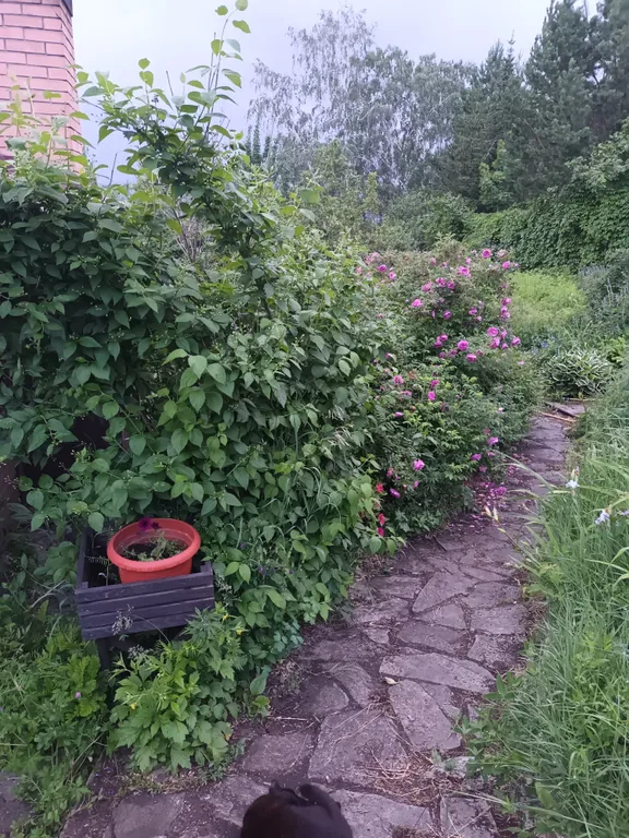 Дом у озера