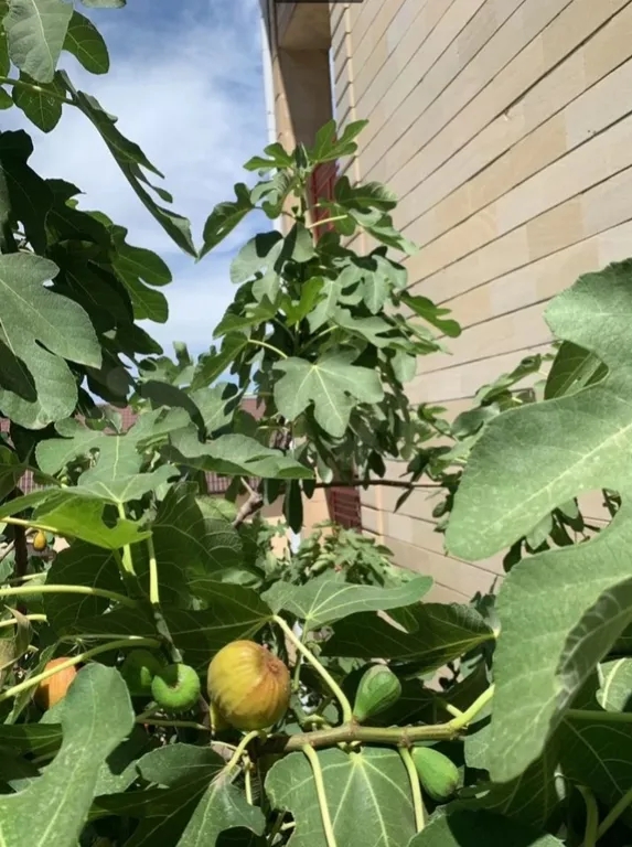 Комната с видом на море