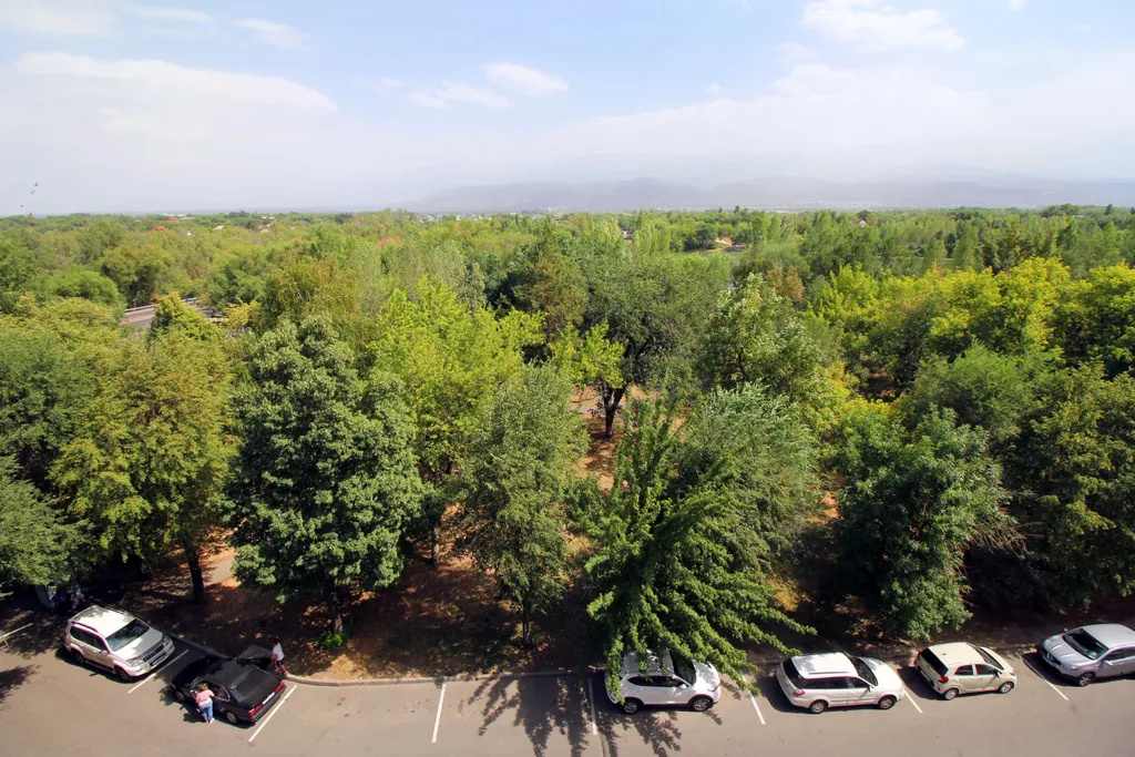 Квартира на берегу озера