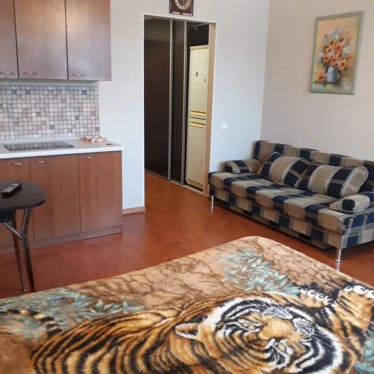 Отличная квартира-студия