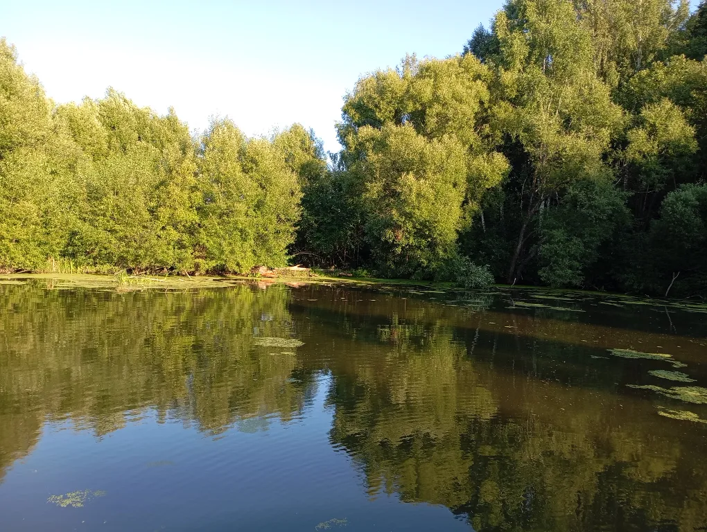 Изба с уютом детства, деревенский дом с баней и русским бытом