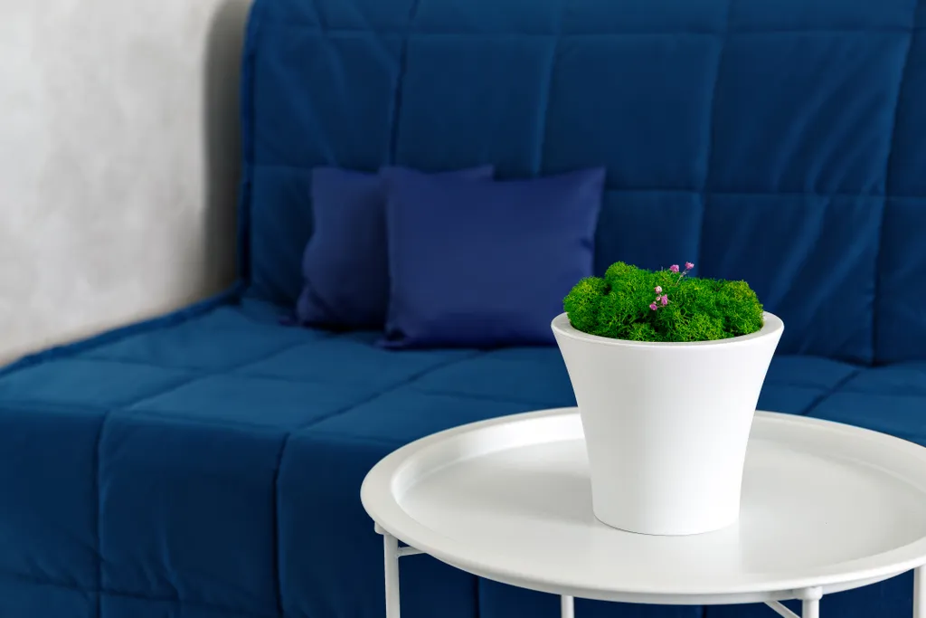 Квартира Квартира Роскошные Аппартамены в Парковой зоне в самом сердце Курорта — Горячий Ключ