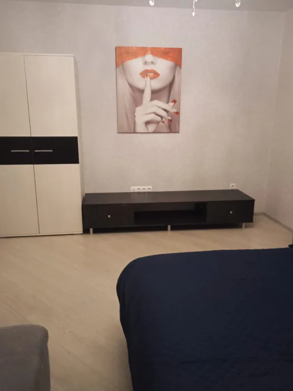 Квартира с хорошим ремонтом