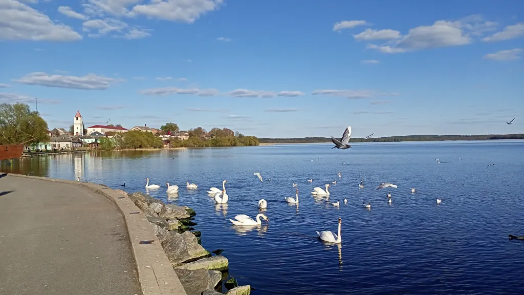 1-к кв на берегу оз.Ороно (2-я лини)