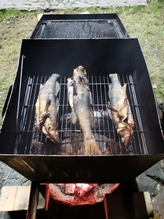 Дом Свободный от забот