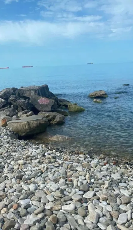 Просторная уютная 2-комнатная квартира с ремонтом в спальном районе