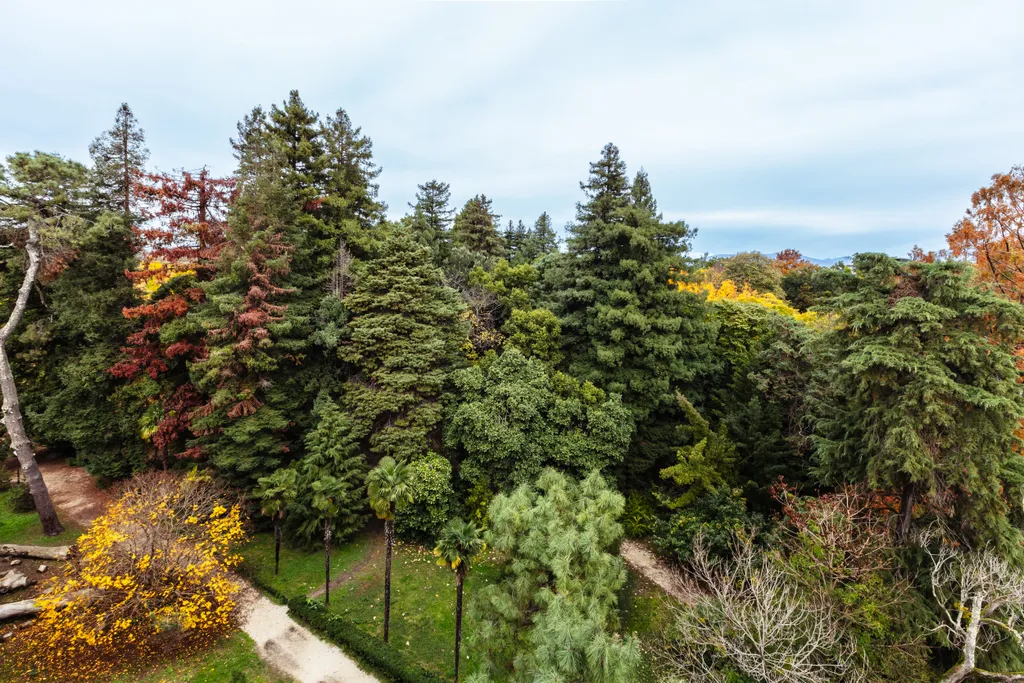 Квартира 1-комнатная Квартира — Сириус