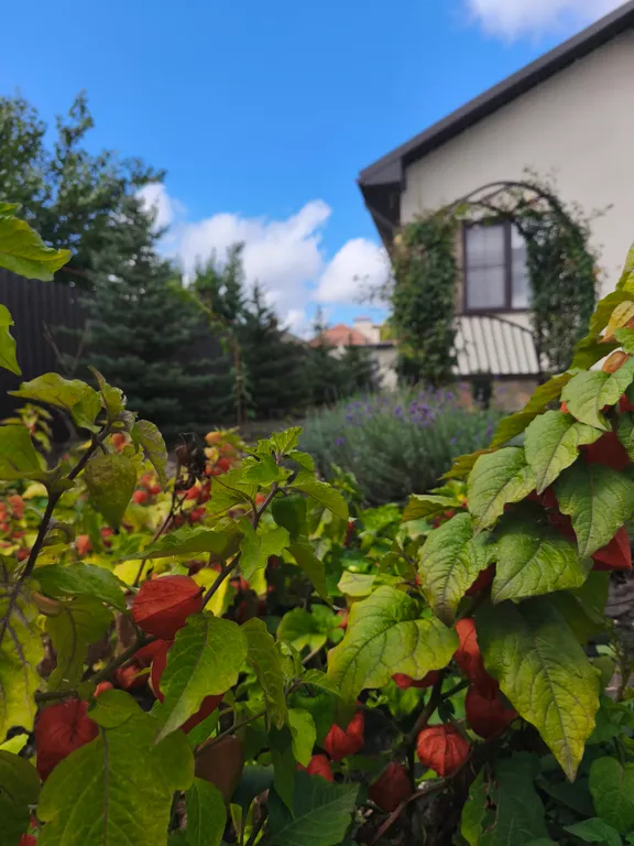 Новый дом с финской сауной, террасой и видом на гору Змейка