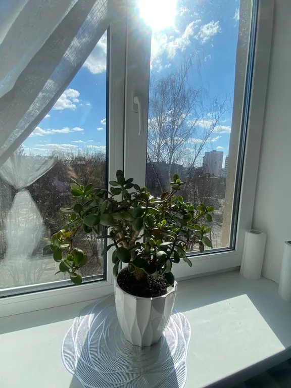 Уютная квартира в центре